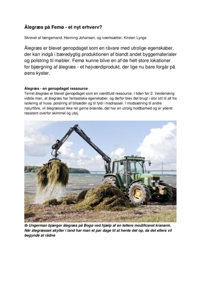 thumbnail of Alegræs_på_Femo