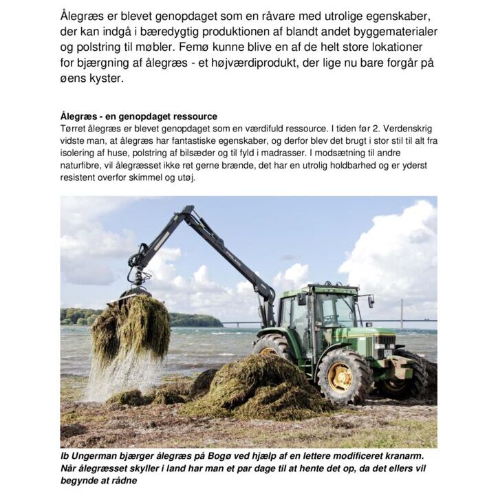 thumbnail of Alegræs_på_Femo